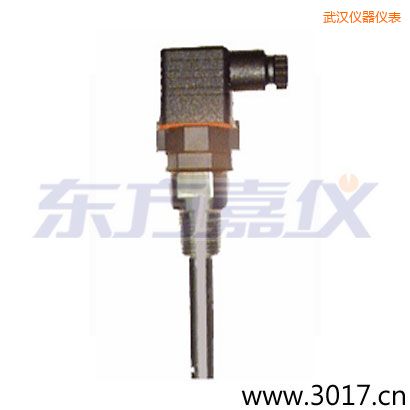 武漢含有溫度的兩線電導(dǎo)率電極